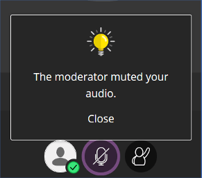 screenshot of a prompt that states the moderator has muted audio